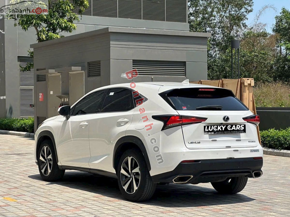 Bán ô tô Lexus NX 300 - 2019 - xe cũ