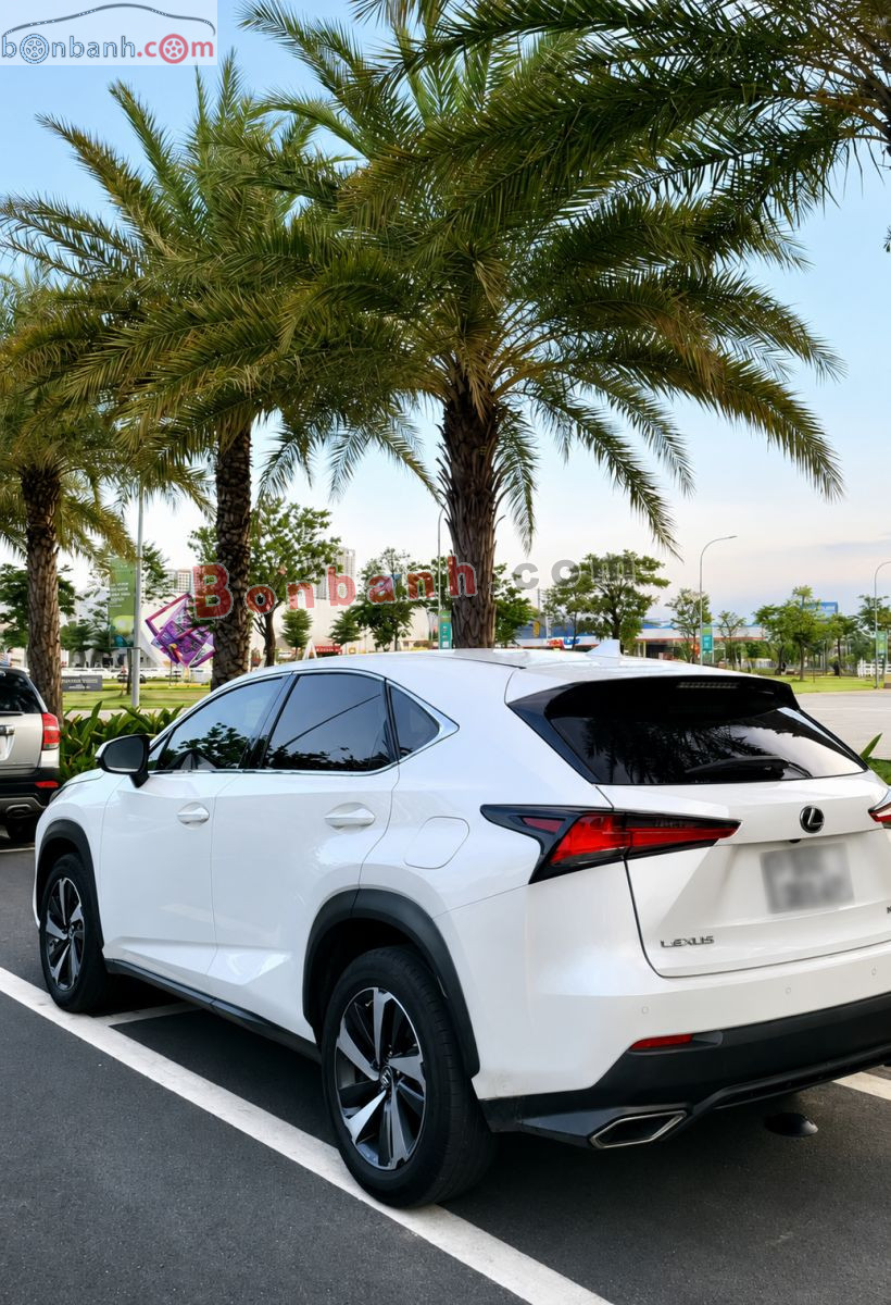 Bán ô tô Lexus NX 300 - 2017 - xe cũ