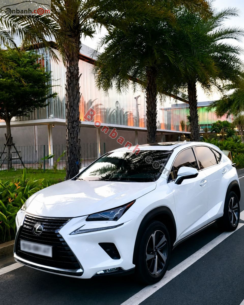 Bán ô tô Lexus NX 300 - 2017 - xe cũ