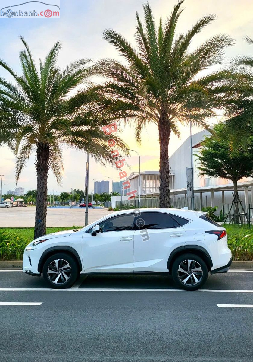 Bán ô tô Lexus NX 300 - 2017 - xe cũ