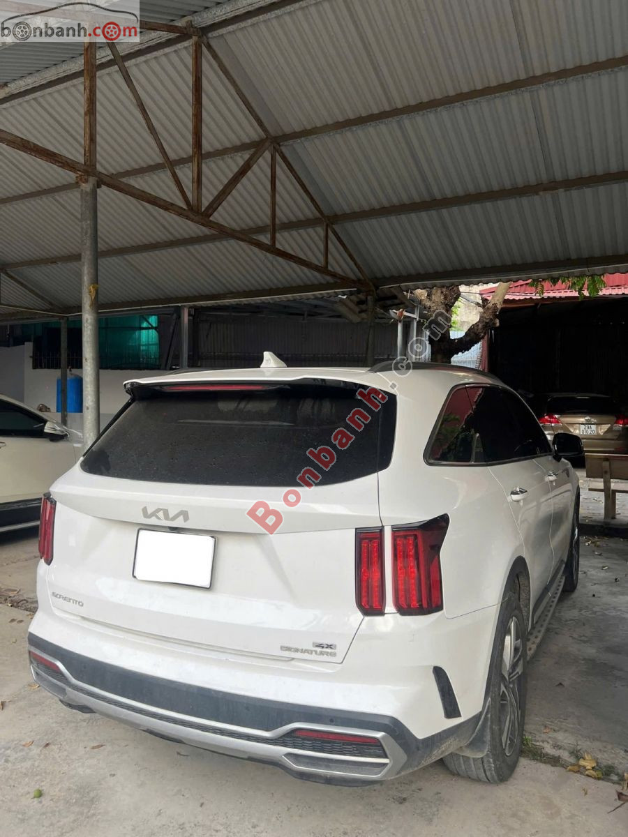 Bán ô tô Kia Sorento Signature 2.2 AT AWD - 2024 - xe cũ