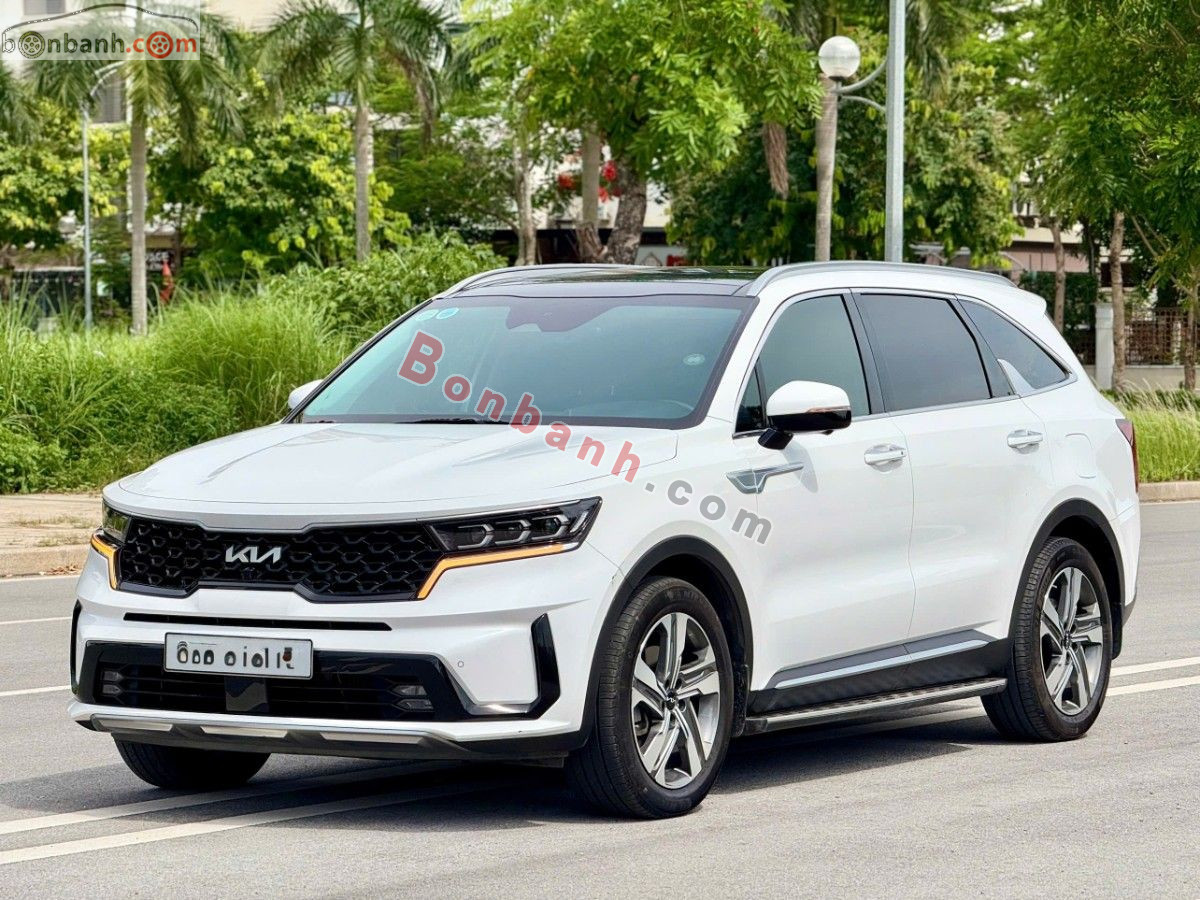 Bán ô tô Kia Sorento Signature 2.2 AT AWD - 2024 - xe cũ