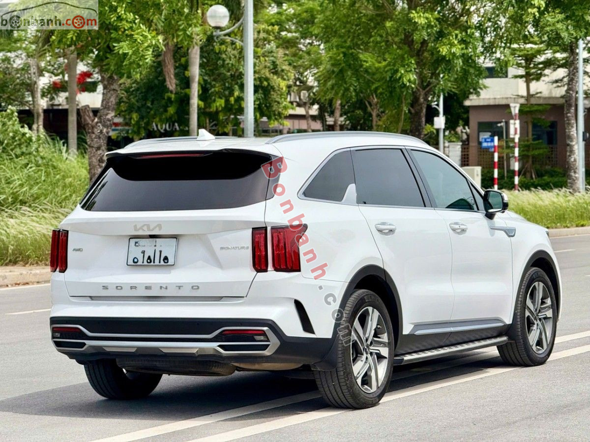 Bán ô tô Kia Sorento Signature 2.2 AT AWD - 2024 - xe cũ