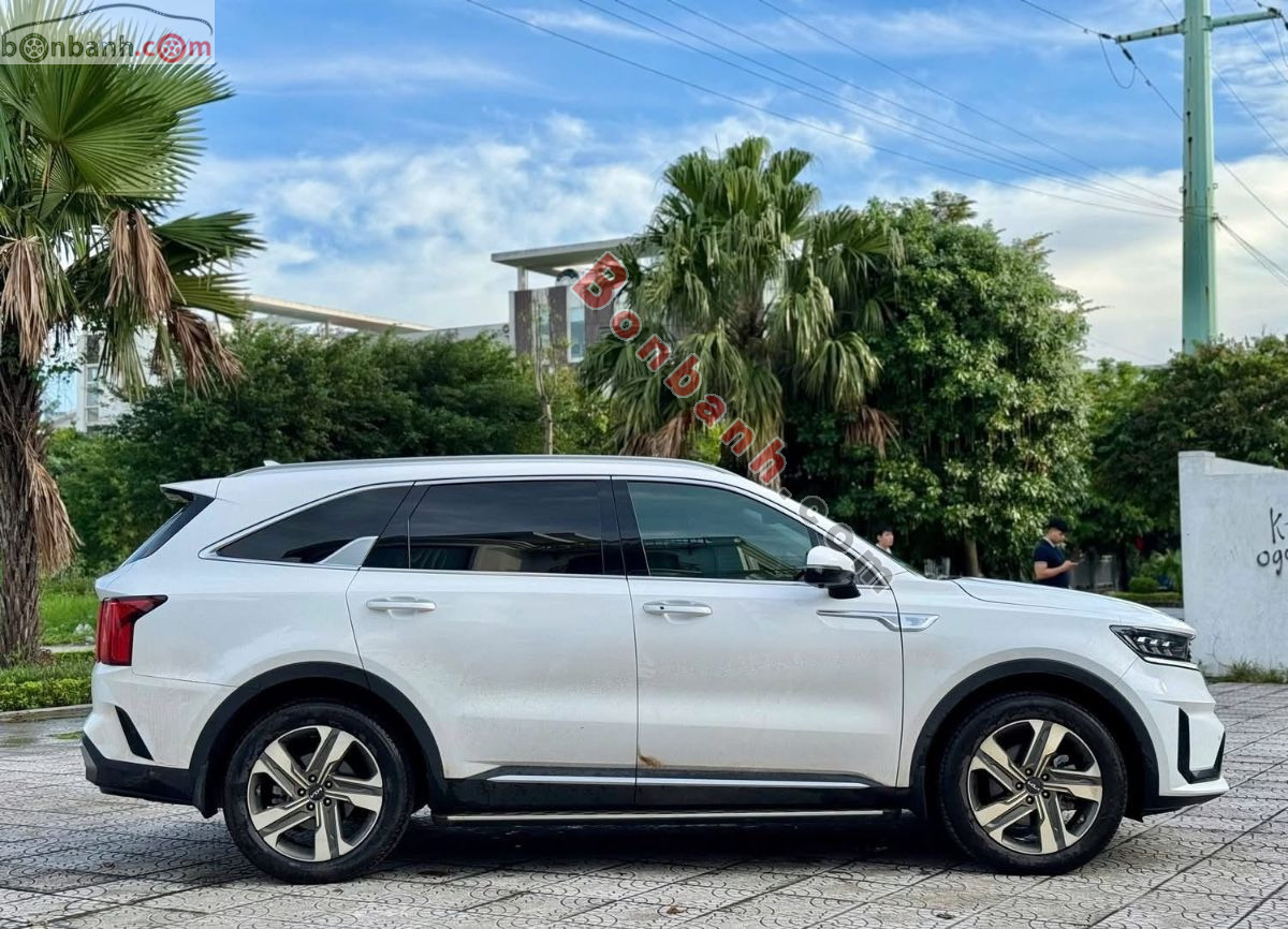 Bán ô tô Kia Sorento Signature 2.2D AT AWD - 2025 - xe cũ