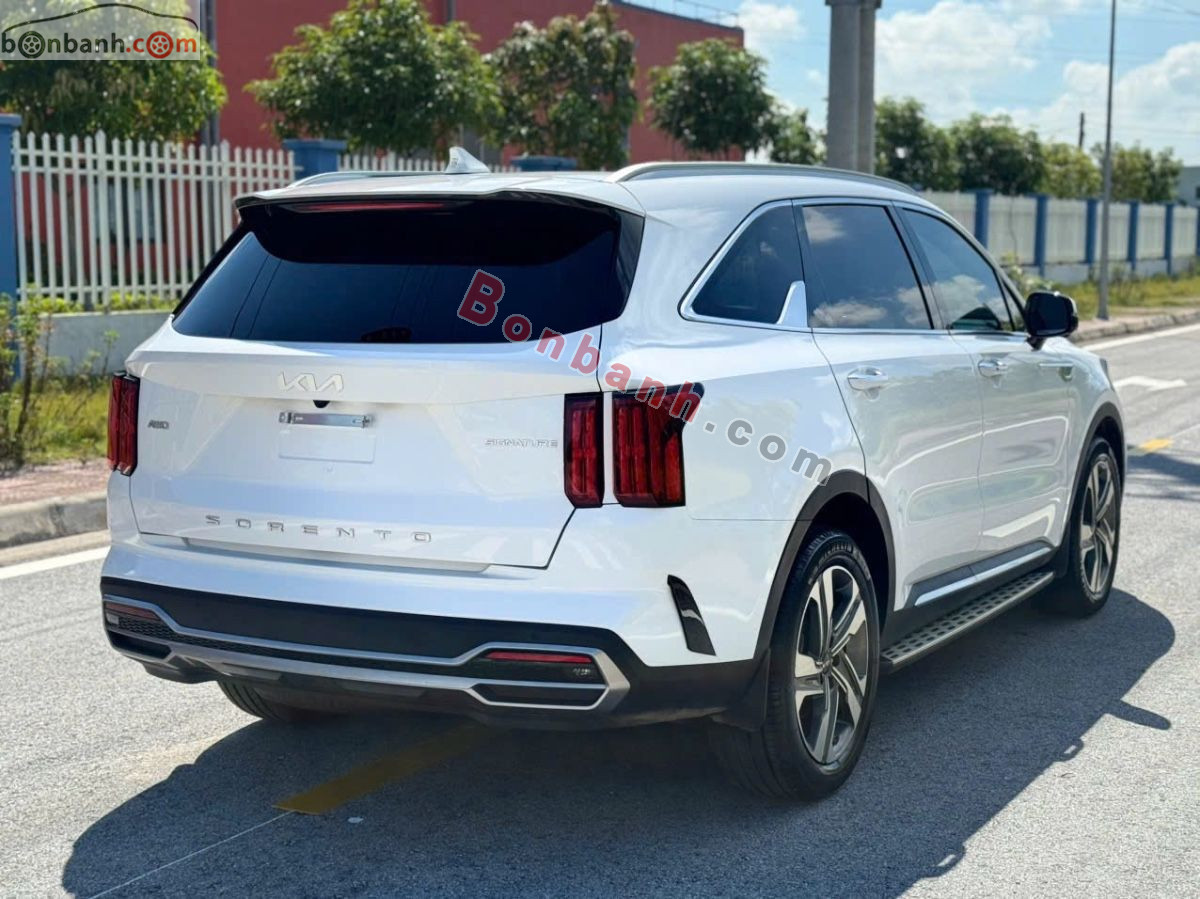 Bán ô tô Kia Sorento Signature 2.2D AT AWD - 2025 - xe cũ