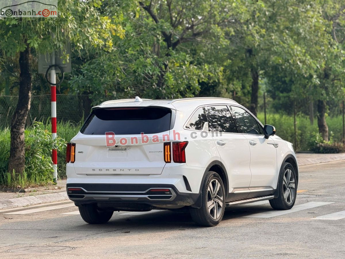 Bán ô tô Kia Sorento Signature 2.2D AT AWD - 2025 - xe cũ