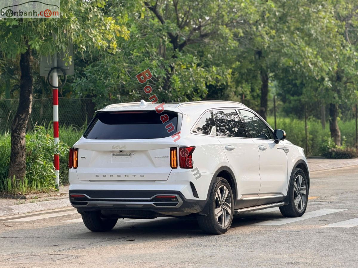 Bán ô tô Kia Sorento Signature 2.2D AT AWD - 2025 - xe cũ