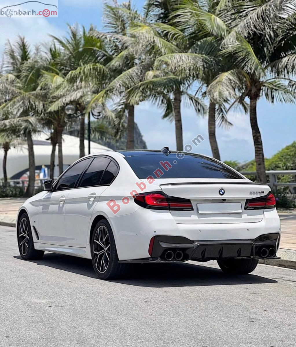 Bán ô tô BMW 5 Series 530i Luxury Line - 2019 - xe cũ