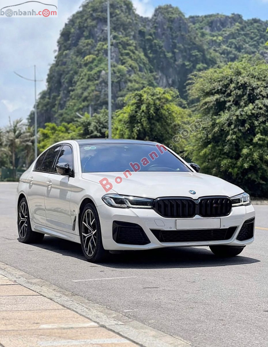 Bán ô tô BMW 5 Series 530i Luxury Line - 2019 - xe cũ