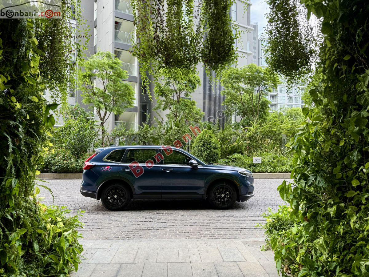 Bán ô tô Honda CRV L - 2024 - xe cũ