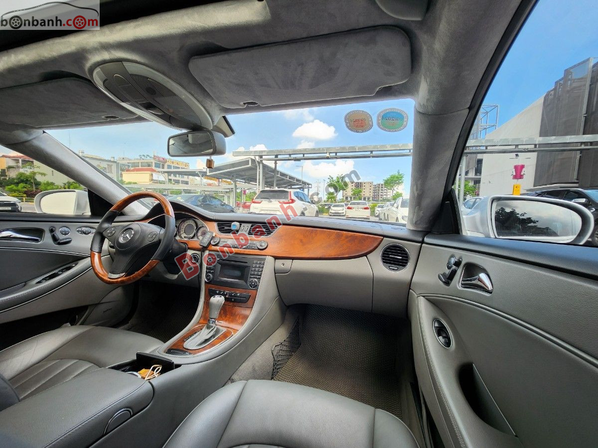 Bán ô tô Mercedes Benz CLS class CLS 300 - 2010 - xe cũ