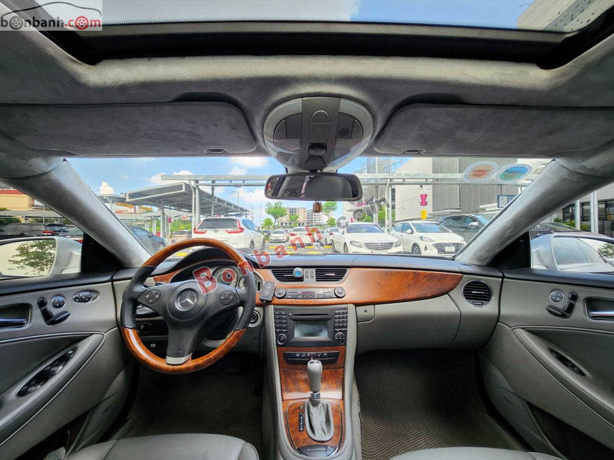 Bán ô tô Mercedes Benz CLS class CLS 300 - 2010 - xe cũ