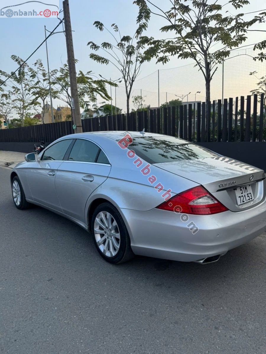 Bán ô tô Mercedes Benz CLS class CLS 300 - 2010 - xe cũ