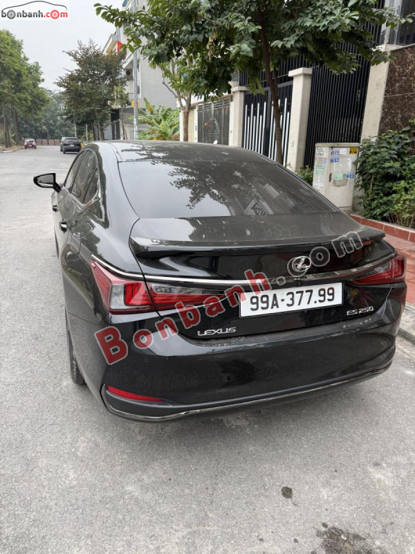 Bán ô tô Lexus ES 250 F Sport - 2023 - xe cũ