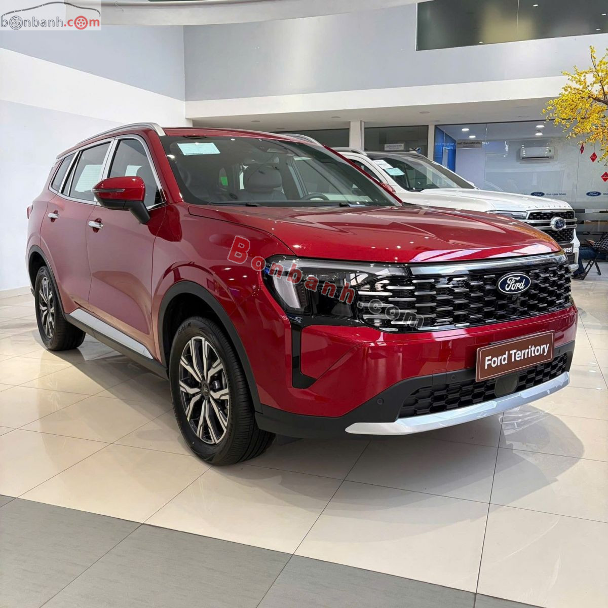 Bán ô tô Ford Territory Titanium 1.5 AT - 2026 - xe mới