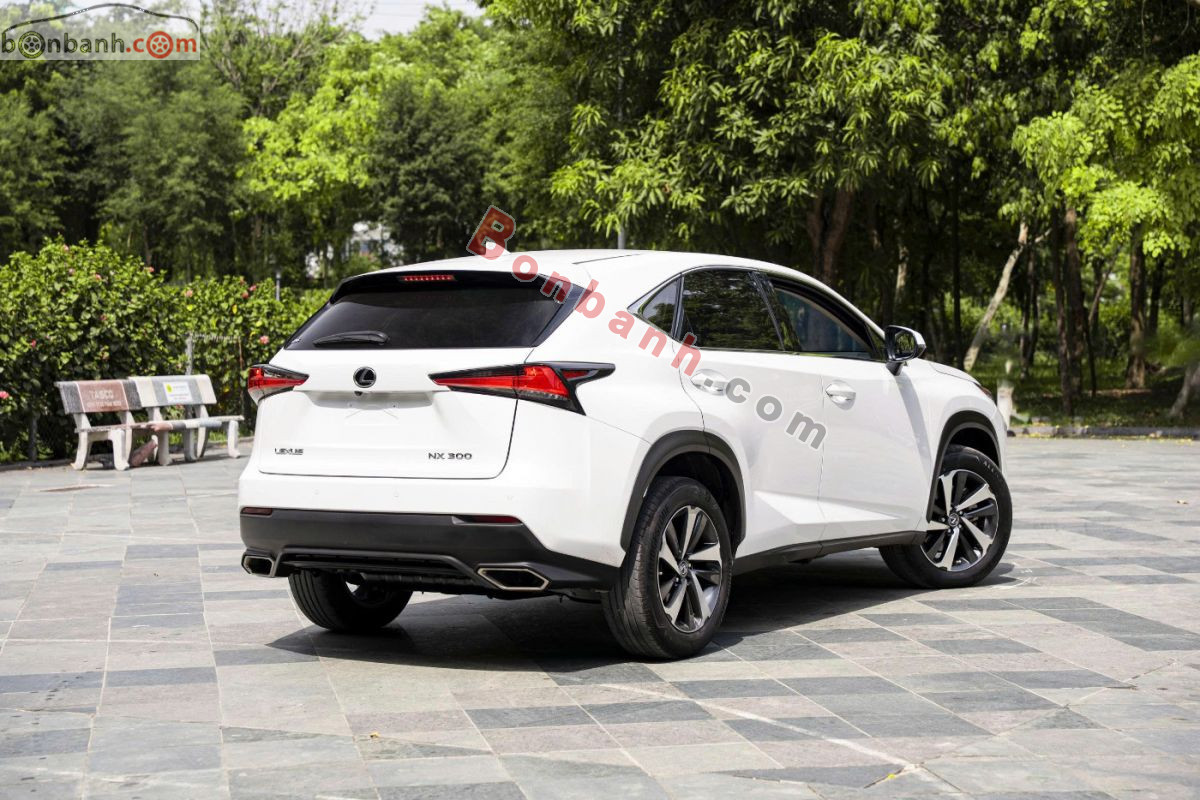 Bán ô tô Lexus NX 300 - 2021 - xe cũ