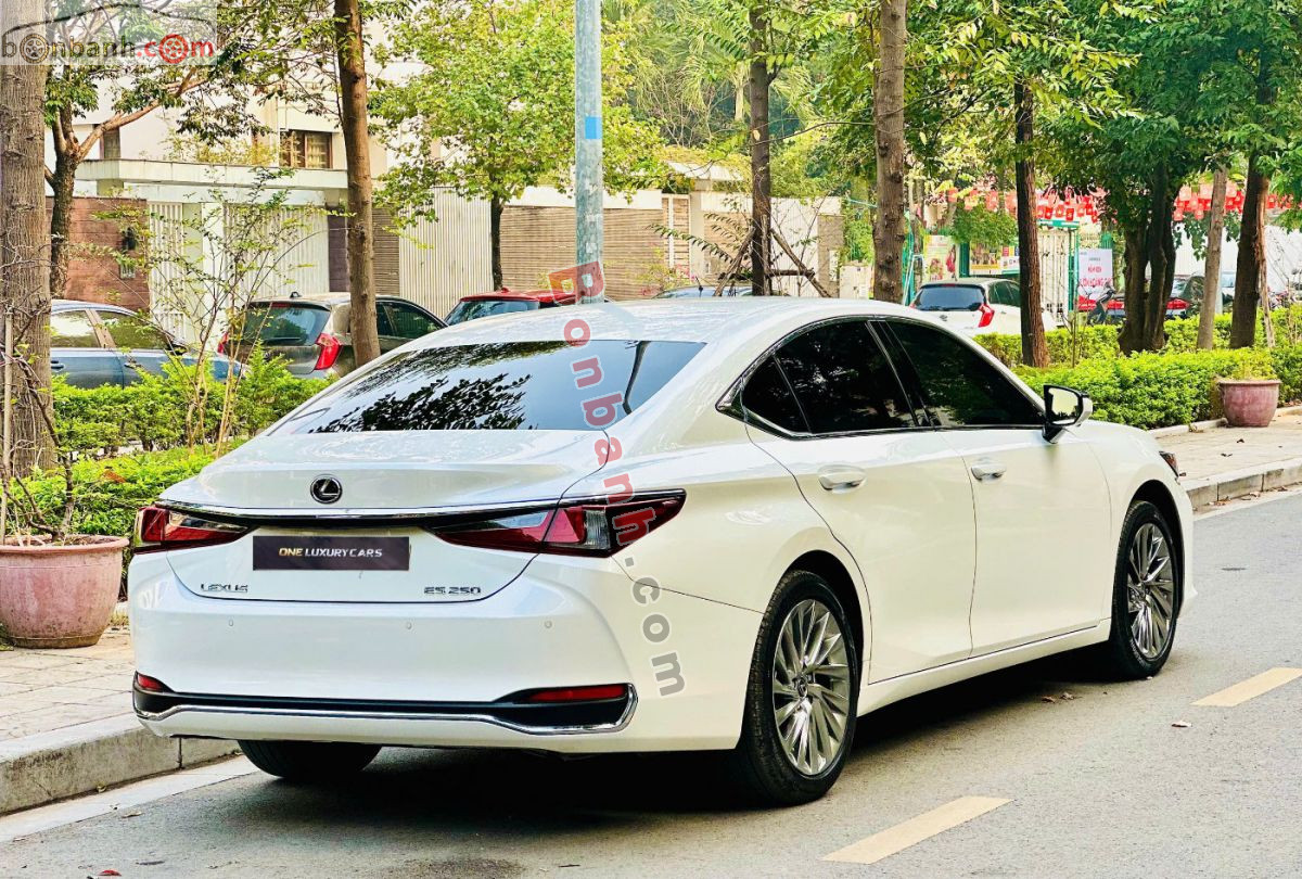 Bán ô tô Lexus ES 250 - 2025 - xe cũ