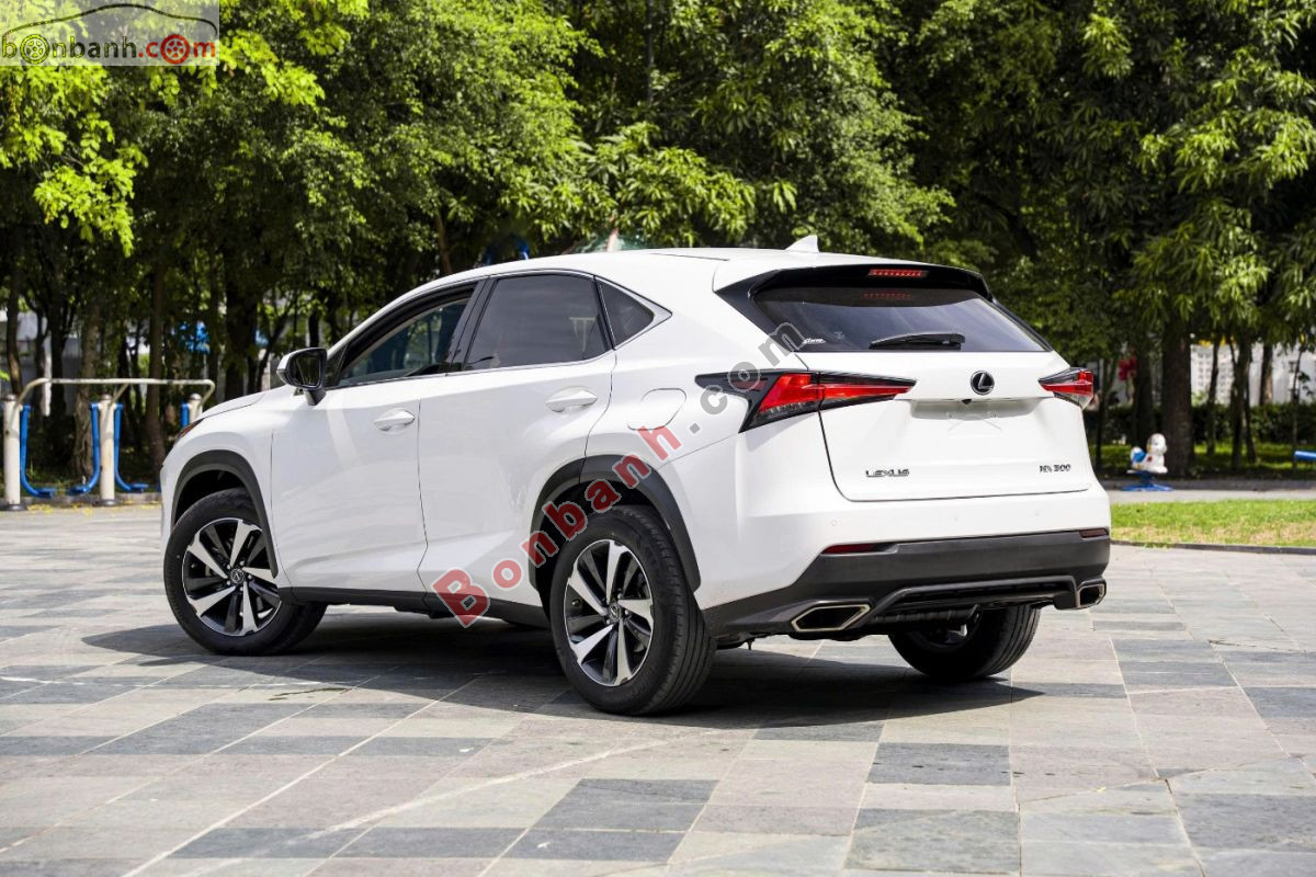 Bán ô tô Lexus NX 300 - 2021 - xe cũ