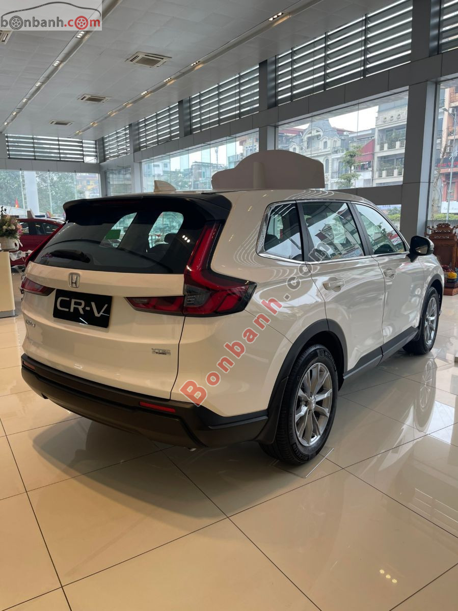Bán ô tô Honda CRV G - 2026 - xe mới