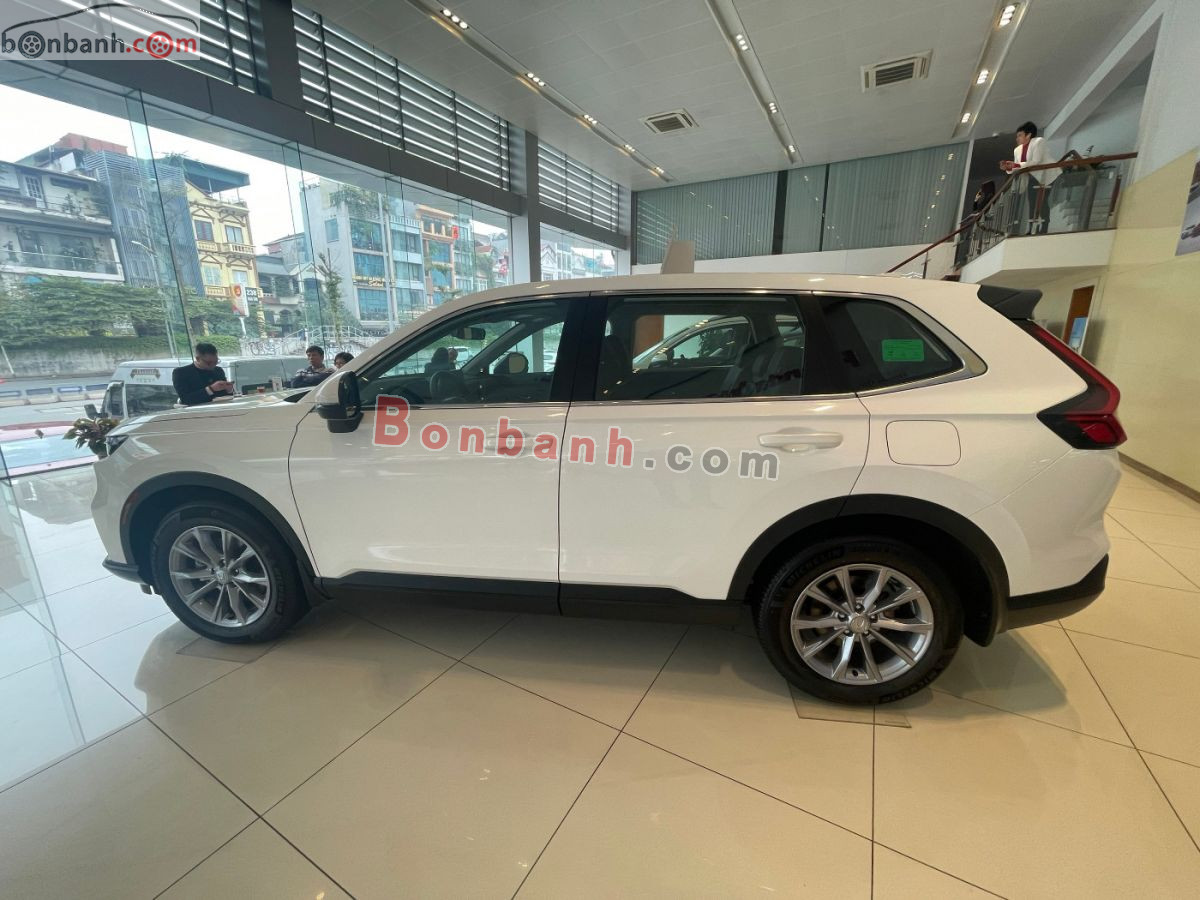 Bán ô tô Honda CRV G - 2026 - xe mới