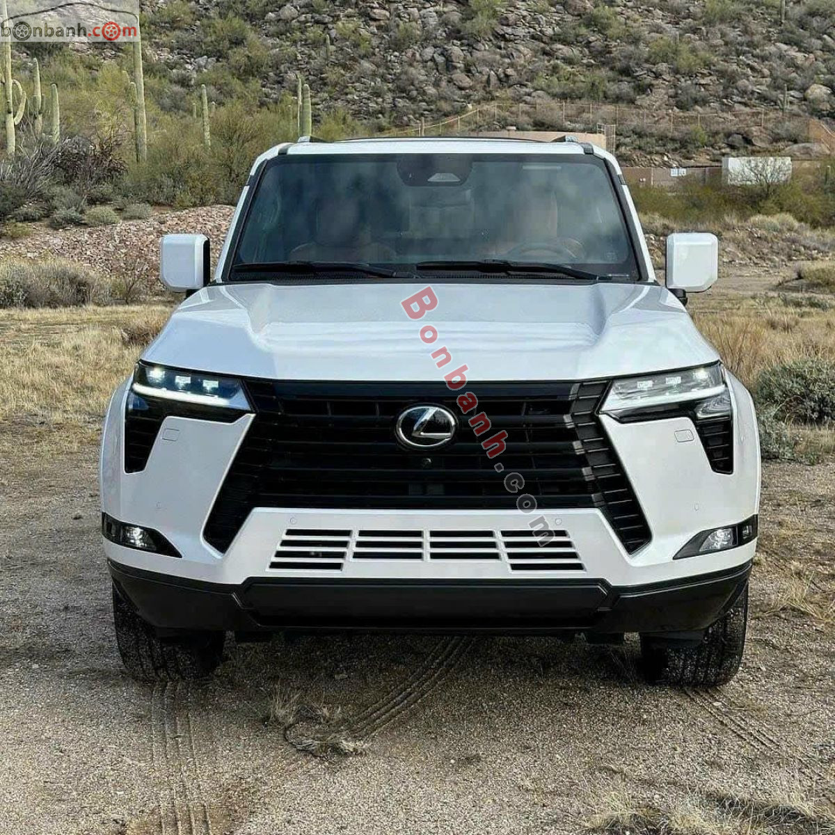 Bán ô tô Lexus GX 550 Luxury - 2026 - xe mới