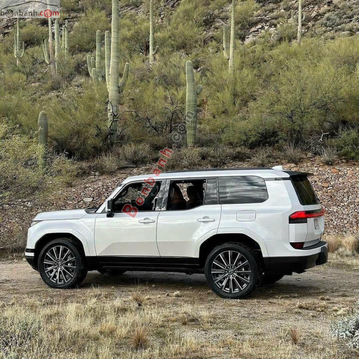 Bán ô tô Lexus GX 550 Luxury - 2026 - xe mới