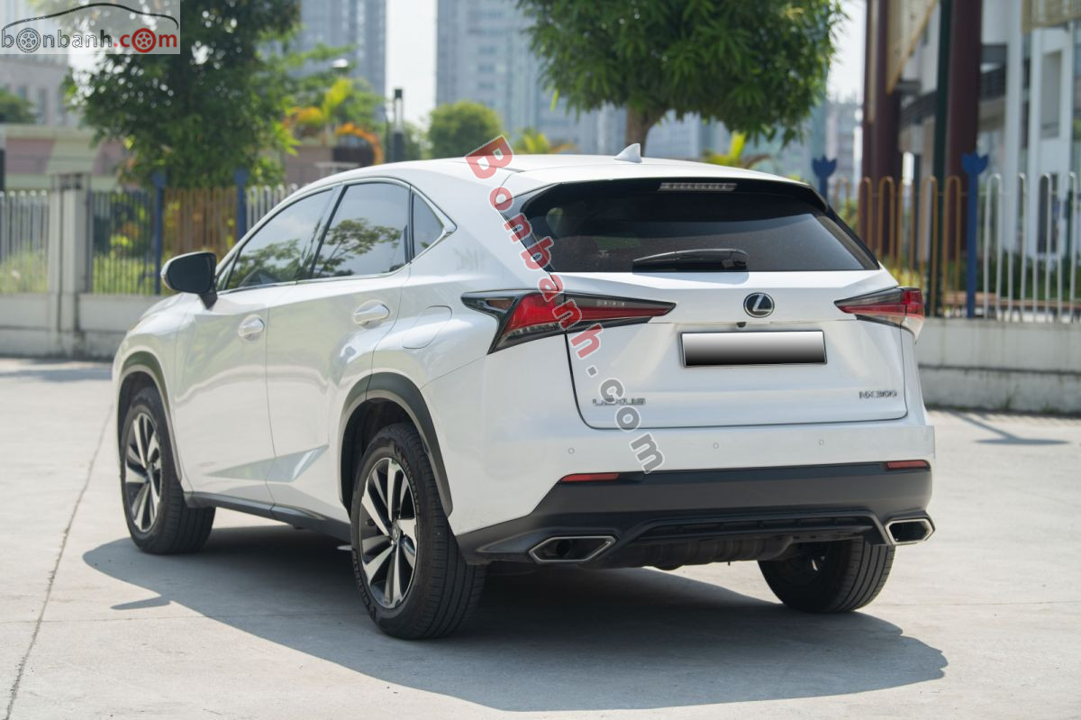 Bán ô tô Lexus NX 300 - 2019 - xe cũ