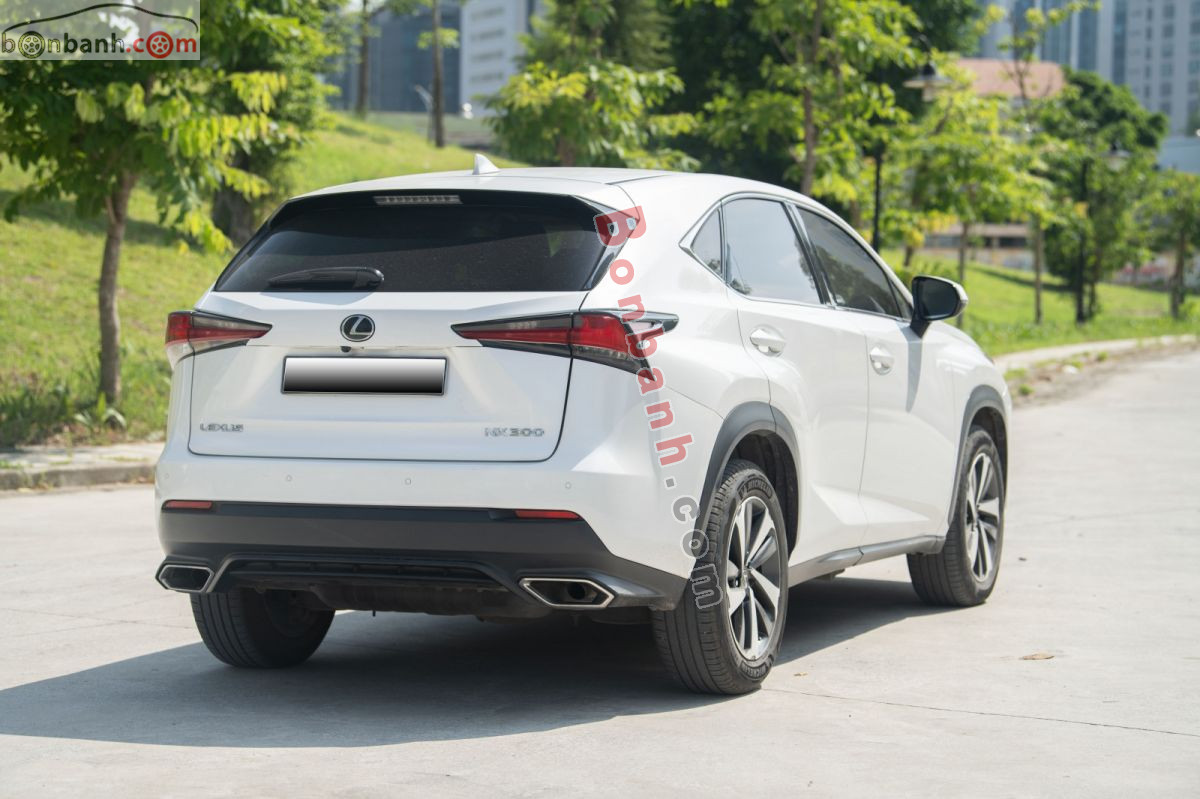Bán ô tô Lexus NX 300 - 2019 - xe cũ