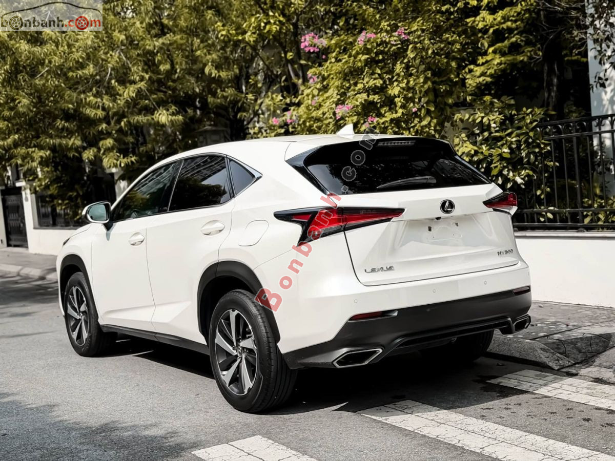 Bán ô tô Lexus NX 300 - 2019 - xe cũ
