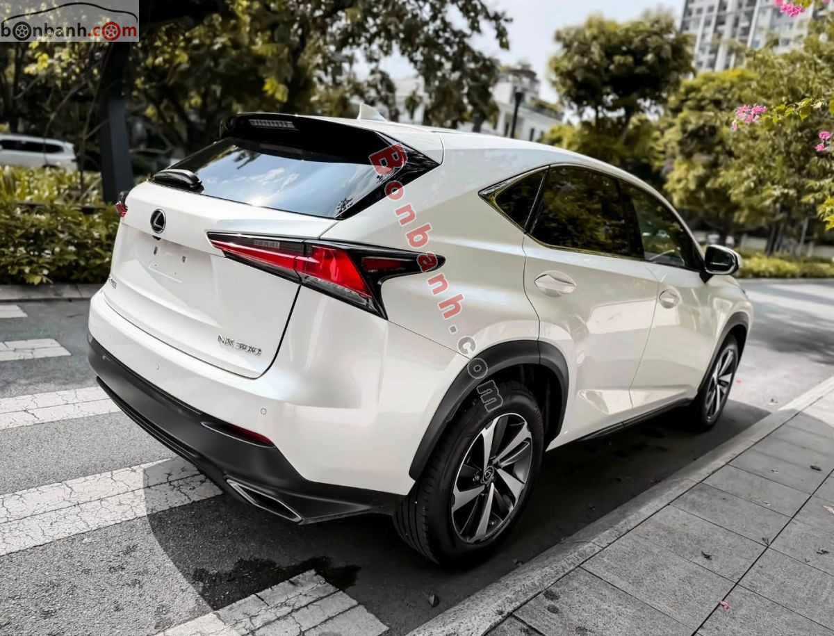 Bán ô tô Lexus NX 300 - 2019 - xe cũ