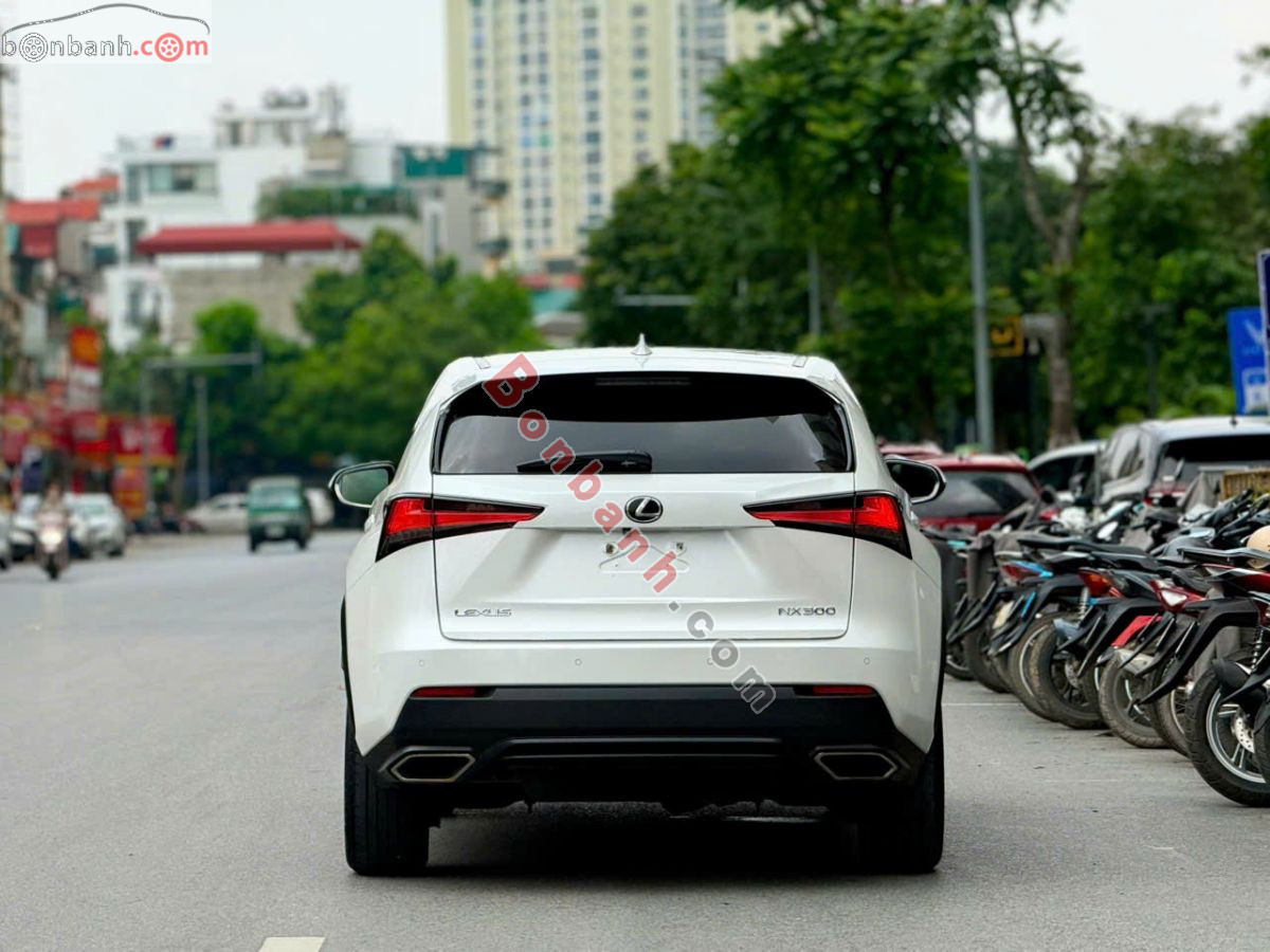 Bán ô tô Lexus NX 300 - 2019 - xe cũ
