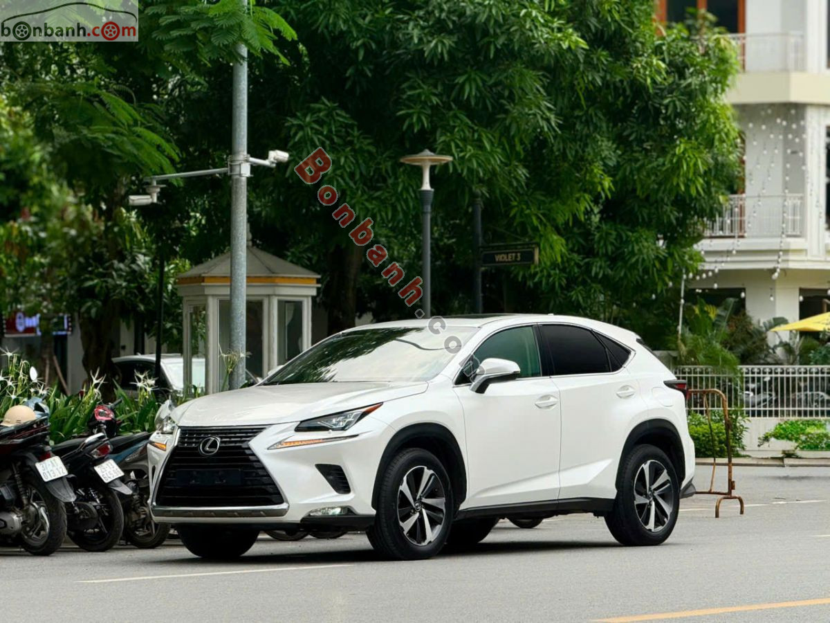 Bán ô tô Lexus NX 300 - 2019 - xe cũ