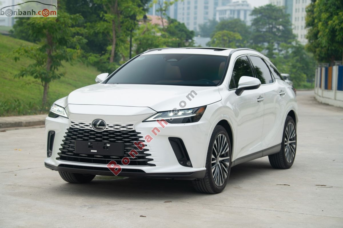 Bán ô tô Lexus RX 350 Premium - 2024 - xe cũ