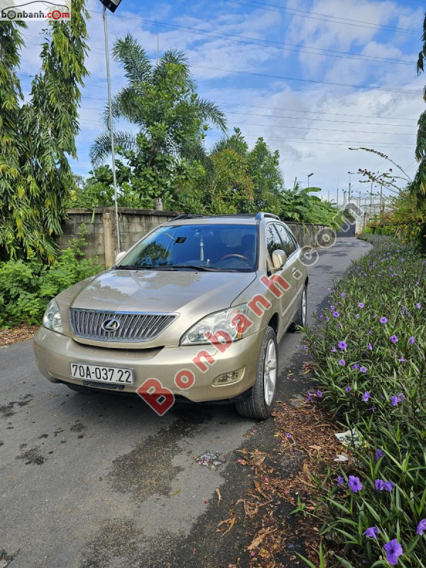 Bán ô tô Lexus RX 330 - 2003 - xe cũ