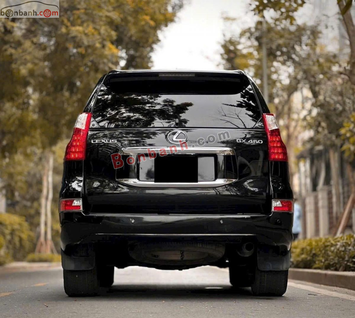 Bán ô tô Lexus GX 460 - 2010 - xe cũ