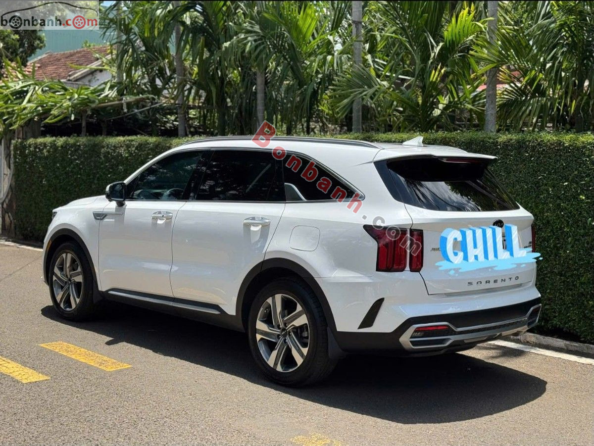 Bán ô tô Kia Sorento Signature 2.2 AT AWD 7S - 2021 - xe cũ