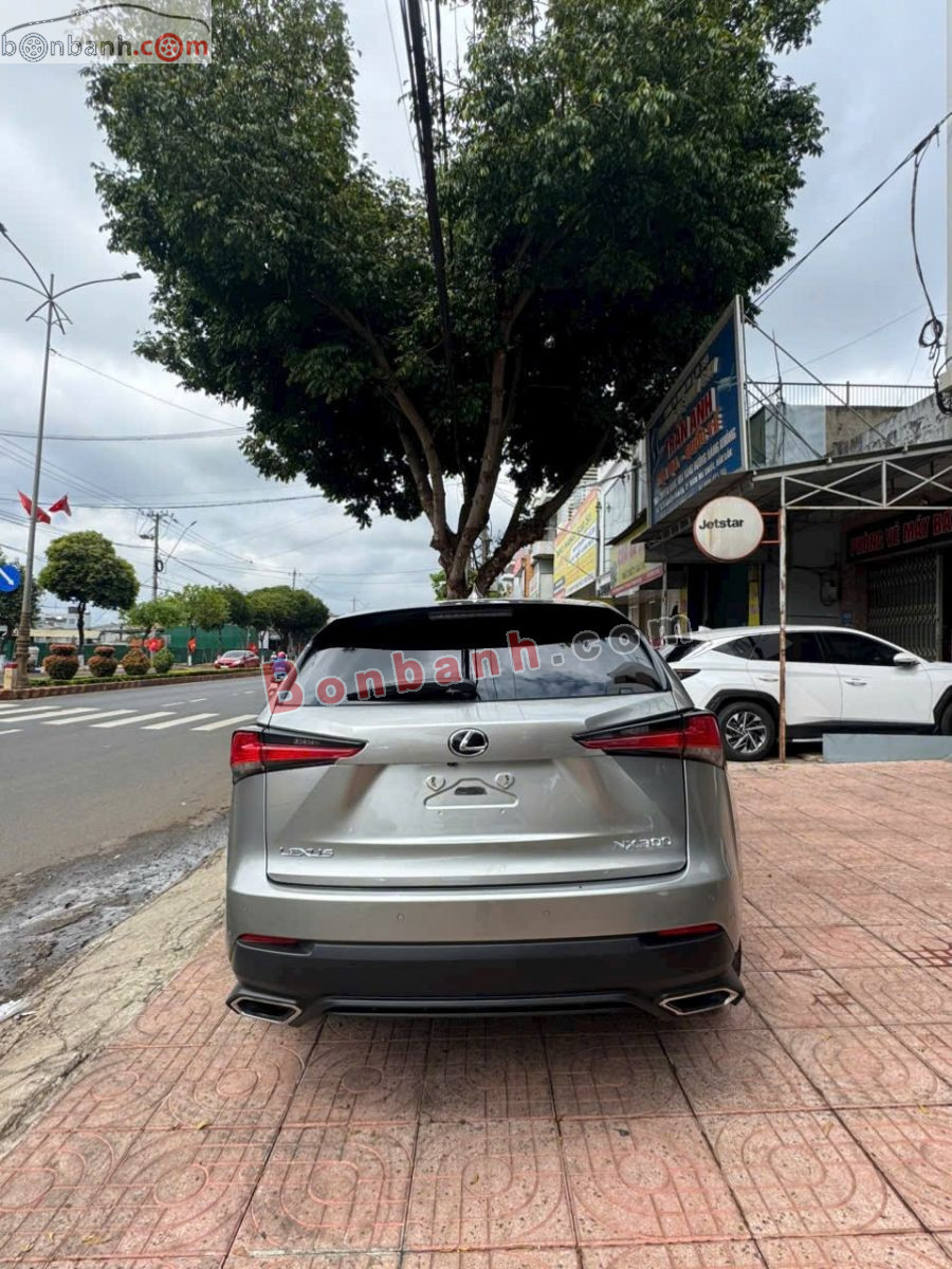 Bán ô tô Lexus NX 300 - 2021 - xe cũ
