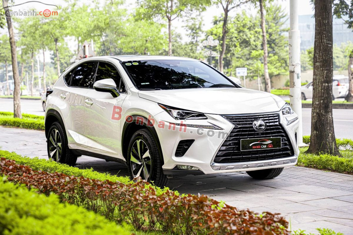 Bán ô tô Lexus NX 300 - 2020 - xe cũ