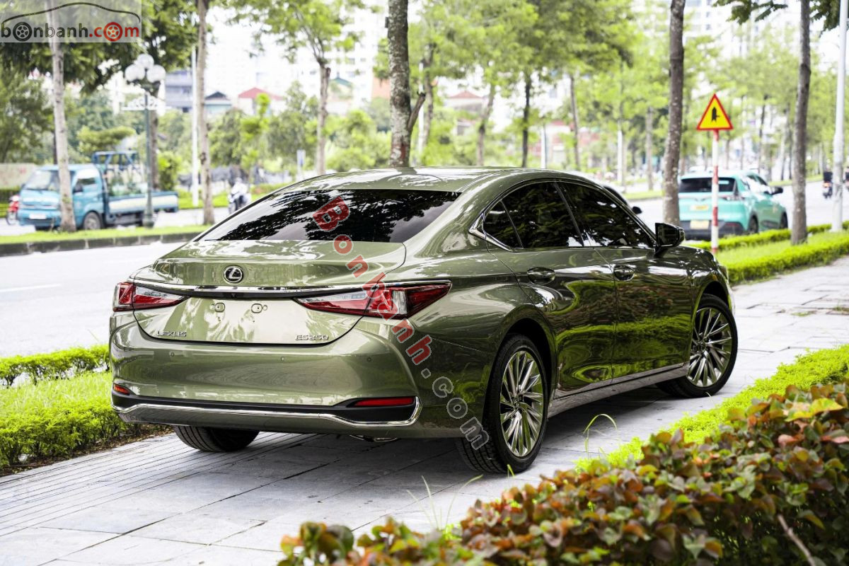 Bán ô tô Lexus ES 250 - 2023 - xe cũ