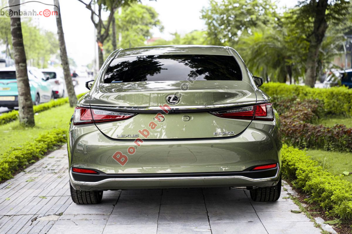 Bán ô tô Lexus ES 250 - 2023 - xe cũ