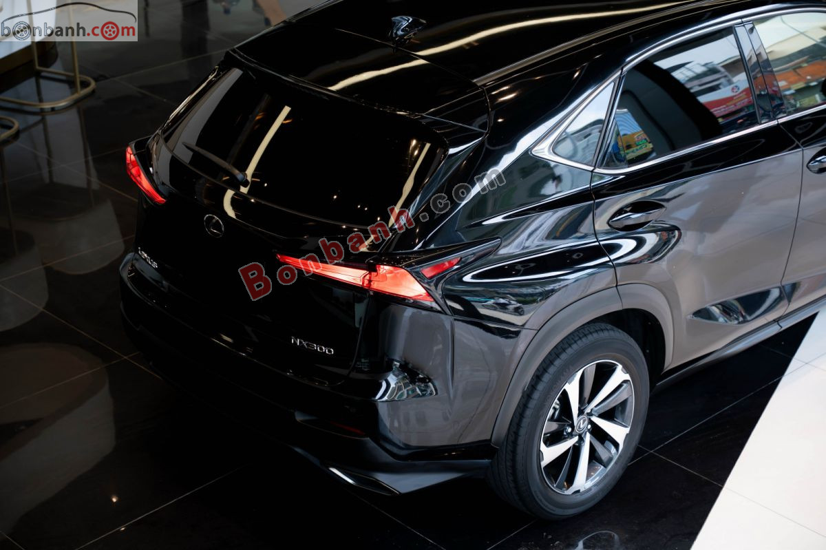 Bán ô tô Lexus NX 300 - 2021 - xe cũ