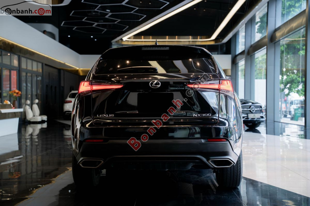 Bán ô tô Lexus NX 300 - 2021 - xe cũ