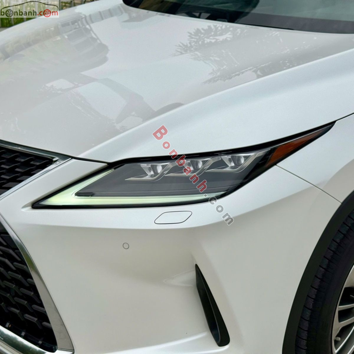 Bán ô tô Lexus RX 300 - 2020 - xe cũ