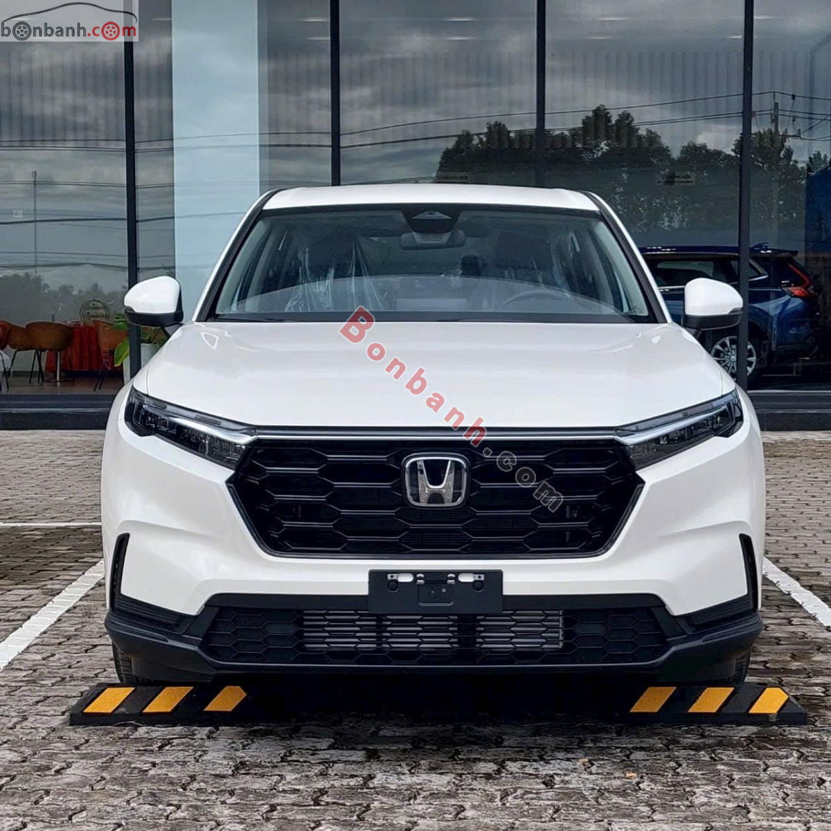 Bán ô tô Honda CRV G - 2026 - xe mới