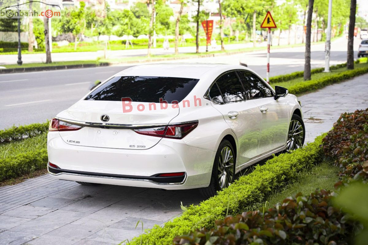 Bán ô tô Lexus ES 250 - 2019 - xe cũ