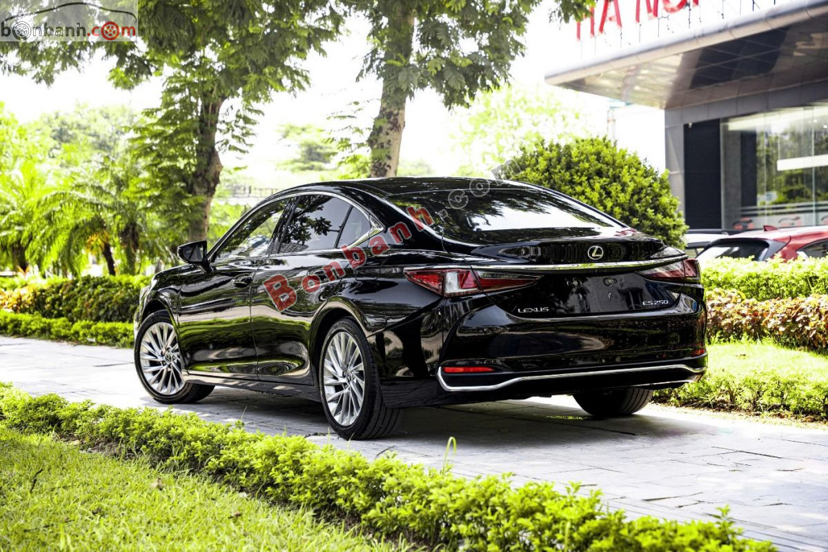 Bán ô tô Lexus ES 250 - 2020 - xe cũ