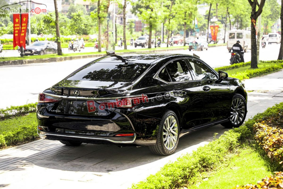 Bán ô tô Lexus ES 250 - 2020 - xe cũ