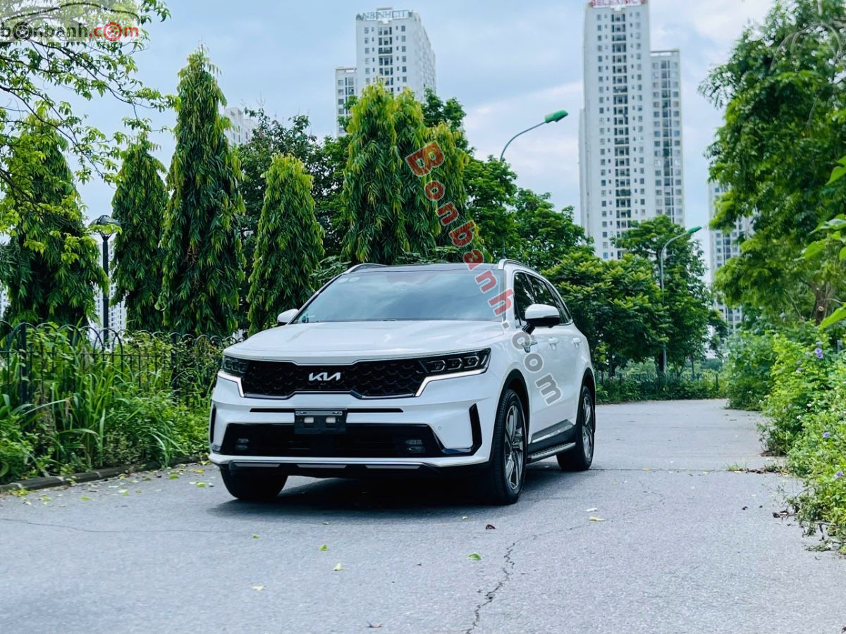 Bán ô tô Kia Sorento Premium 2.5G AT - 2025 - xe cũ