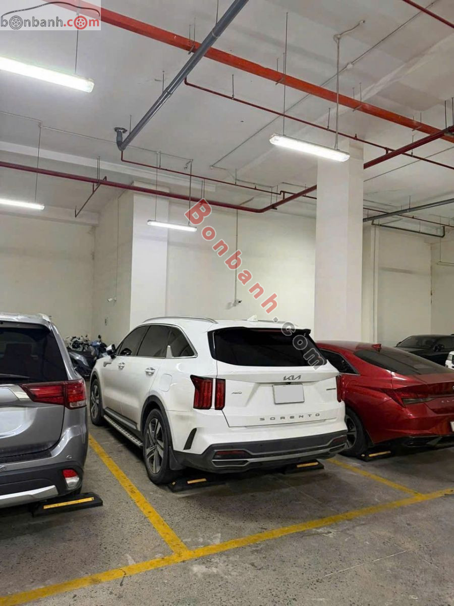 Bán ô tô Kia Sorento Signature 2.2 AT AWD - 2022 - xe cũ
