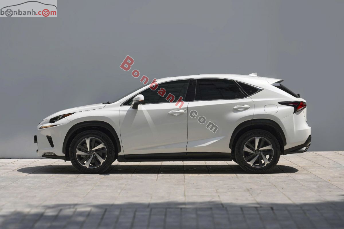 Bán ô tô Lexus NX 300 - 2019 - xe cũ